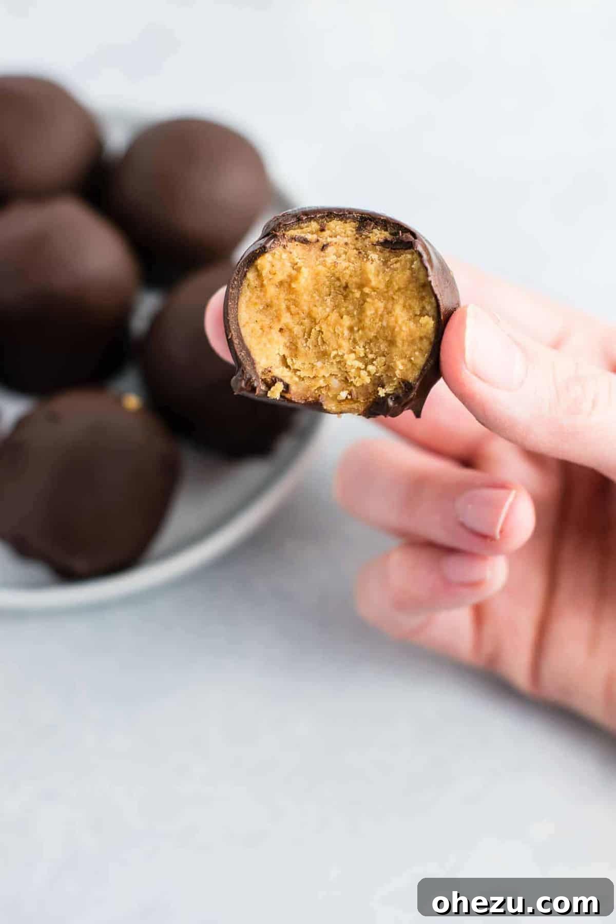 Guilt-Free No Bake Peanut Butter Bites 9 Healthy No Bake Peanut Butter Truffles recipe made with all vegan and gluten free ingredients. A healthier alternative without sacrificing flavor! NO ONE will guess this is a healthy recipe! #vegan #glutenfree #peanutbutter #nobake #dessert