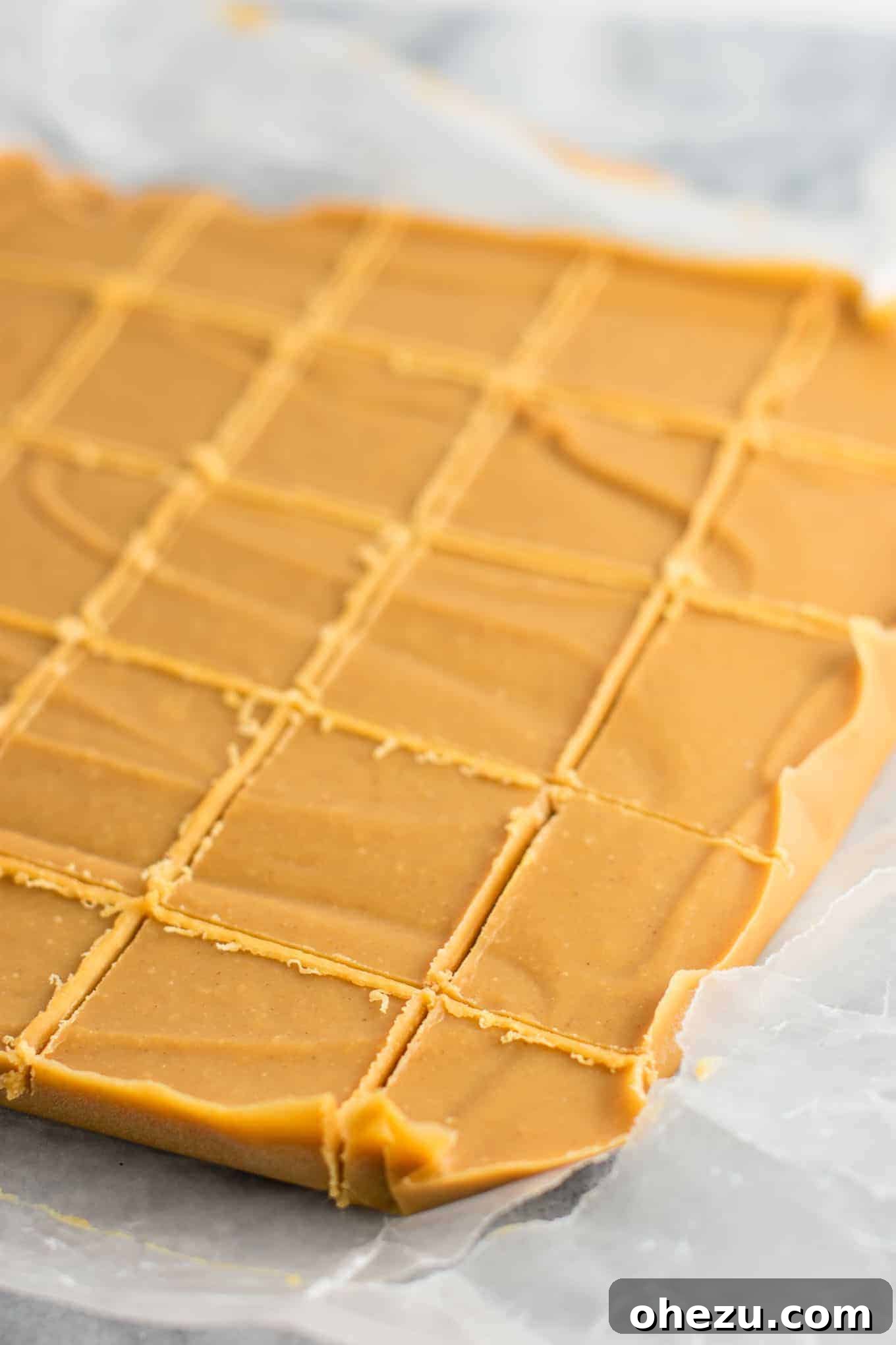 Ultimate healthy vegan peanut butter fudge recipe, showcasing multiple pieces of fudge. #healthyfudge #healthyveganfudge #vegandessert #peanutbutter #glutenfree #vegan