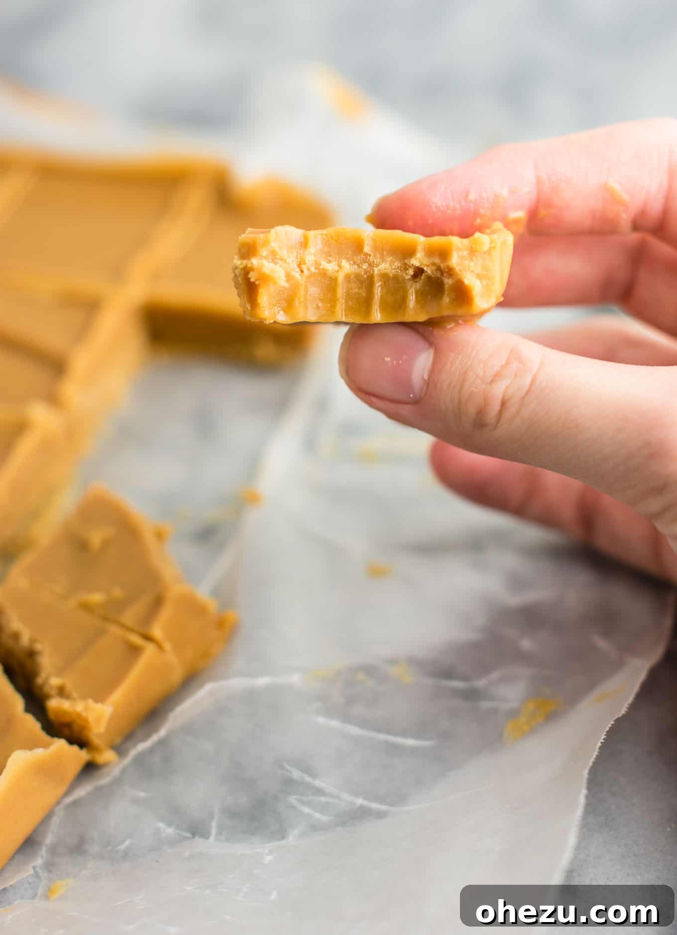 Ultimate healthy vegan peanut butter fudge recipe, showing individual pieces arranged neatly. #healthyfudge #healthyveganfudge #vegandessert #peanutbutter #glutenfree #vegan
