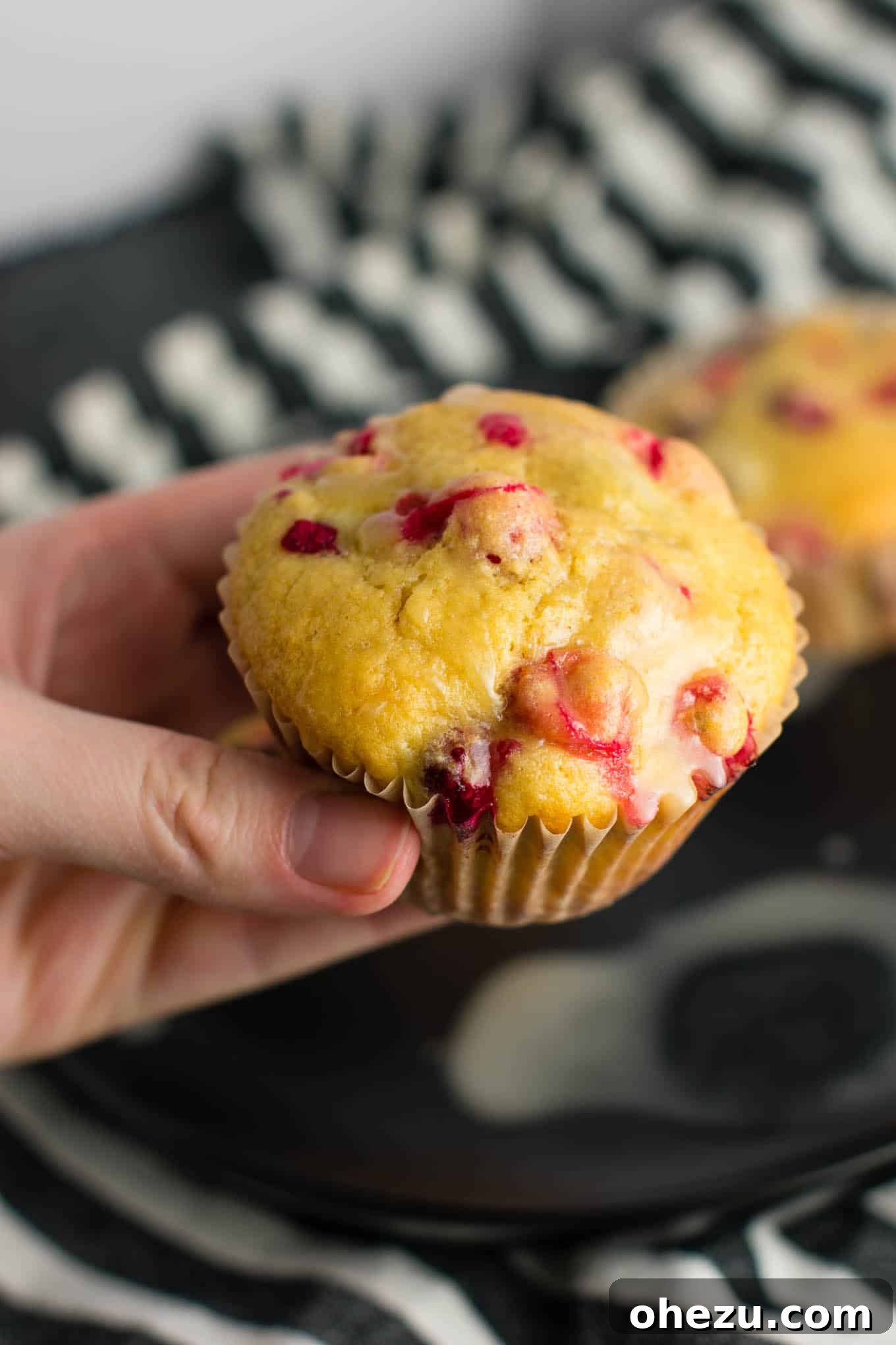 Seven healthy Cranberry Orange Muffins arranged on a white plate, showcasing the vibrant colors.