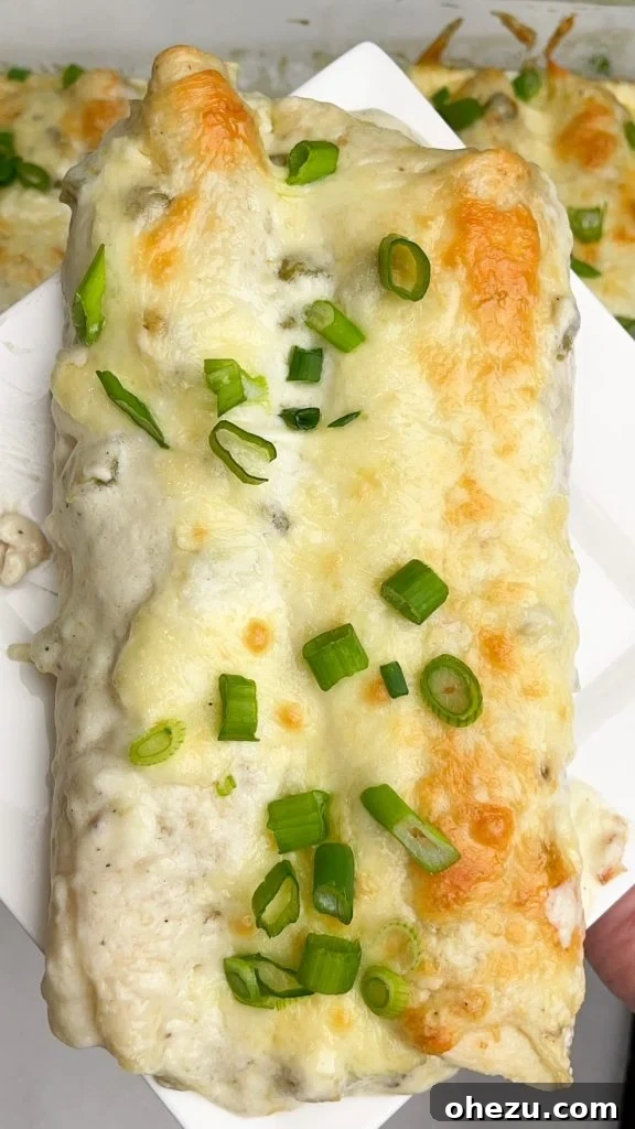 Bright and Creamy Chicken Enchiladas 3 Closeup of Tangy White Chicken Enchiladas, showing the creamy sauce and chicken filling