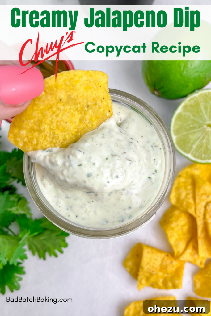 Bright and Creamy Chicken Enchiladas 6 Chuy's Creamy Jalapeno Dip Copycat recipe, a perfect side for enchiladas