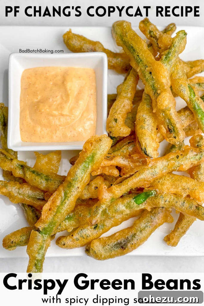 Crispy Green Beans PF Changs Copycat Recipe