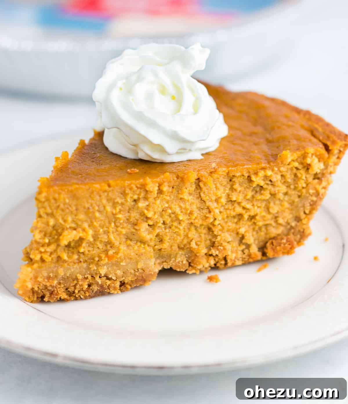 A beautifully sliced gluten-free pumpkin pie on a plate, generously topped with fluffy whipped cream, ready to be enjoyed.