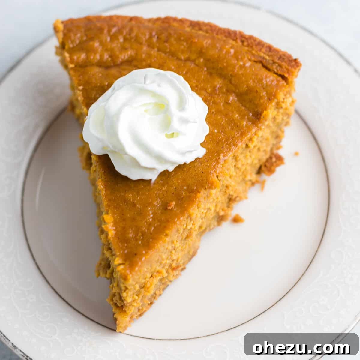 A close-up view of a perfectly baked gluten-free pumpkin pie, showing its smooth, rich filling and golden-brown crust, awaiting a dollop of whipped cream.