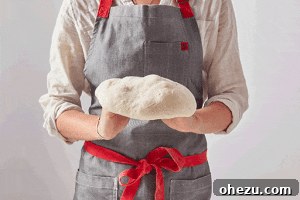 Naples' Authentic Pizza Masterpiece 14 A freshly stretched pizza dough circle on a floured surface
