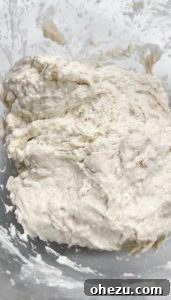 Naples' Authentic Pizza Masterpiece 9 Two stages of Neapolitan pizza dough: freshly mixed and after 24-hour proofing