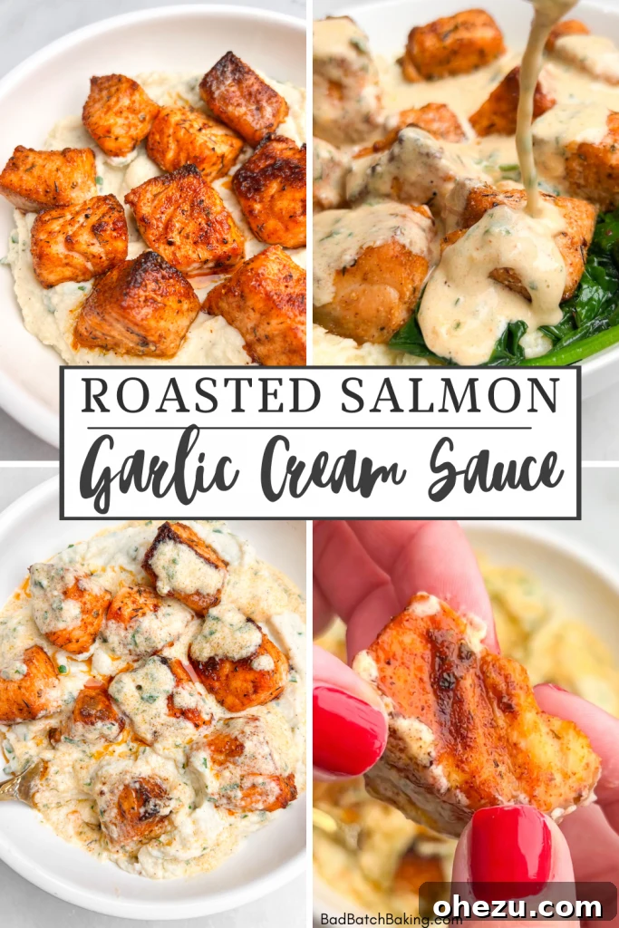 Savory Salmon with Velvety Garlic Sauce 5 Roasted Salmon Bites with Creamy Garlic Sauce