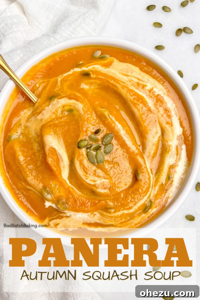 Cozy Panera Autumn Squash Soup Recipe 8 Finished Panera Autumn Squash Soup Copycat Recipe