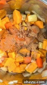 Cozy Panera Autumn Squash Soup Recipe 4 Panera Autumn Squash Soup Copycat Recipe close-up