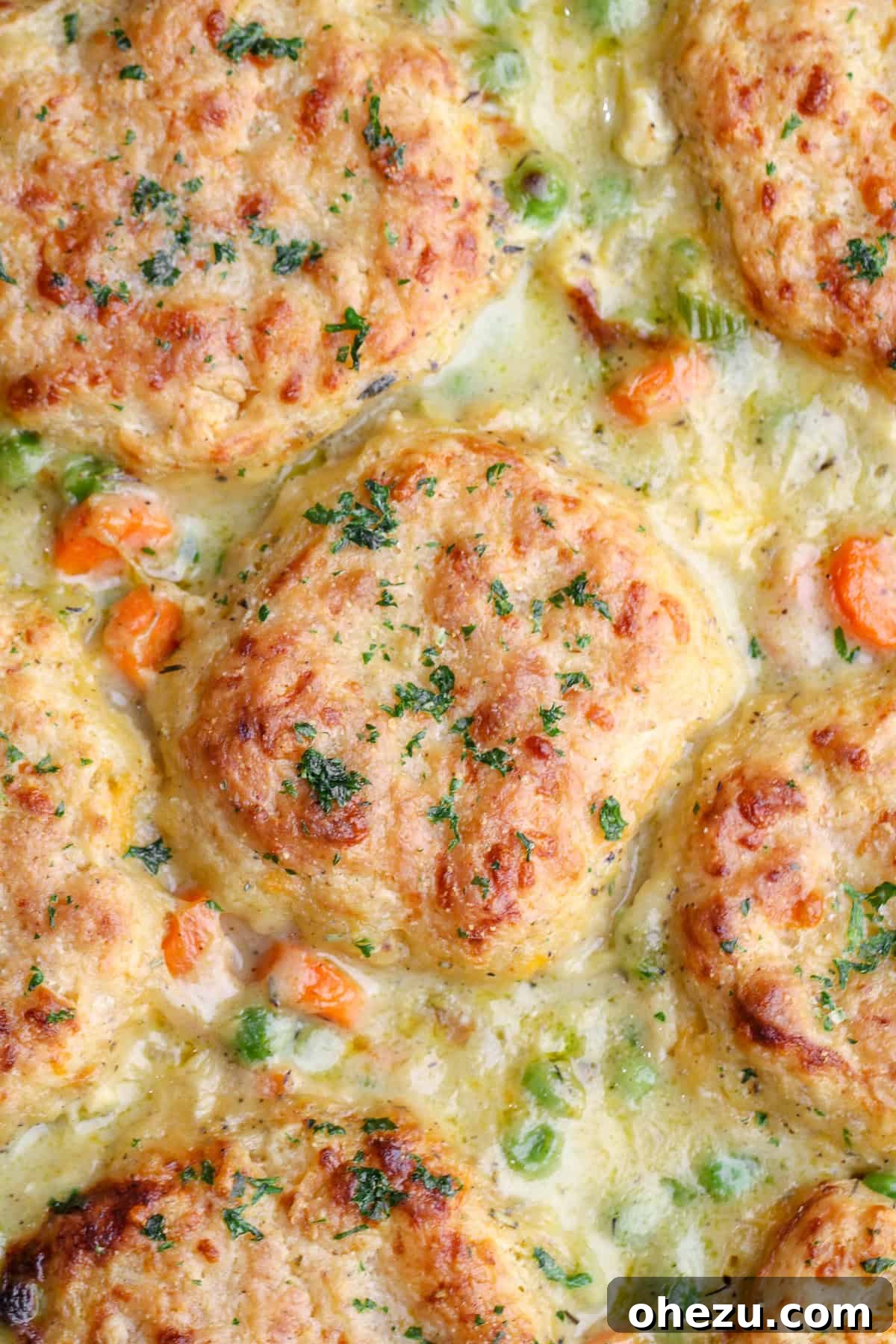 Savory Chicken Pot Pie Crowned with Cheddar Bay Biscuits 2 Classic chicken pot pie with golden cheddar bay biscuits on top, served in a skillet.