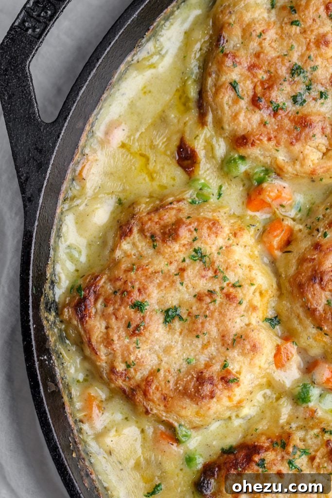 Savory Chicken Pot Pie Crowned with Cheddar Bay Biscuits 6 A top-down view of chicken pot pie in a skillet, adorned with beautifully browned biscuits.