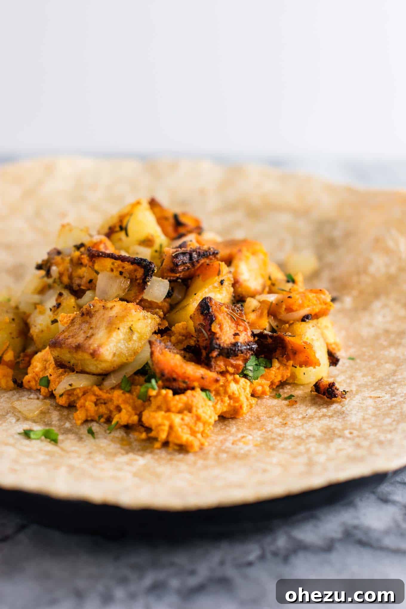 A close-up shot of a single vegan burrito, showcasing its delicious filling