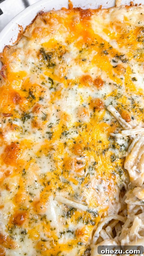 Effortless Creamy Chicken Tetrazzini 3 Easy Chicken Tetrazzini with a creamy, garlicky sauce, garnished with parsley