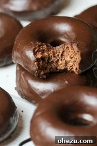 Entenmann's Devils Food Cake Recipe donuts, covered in powdered sugar