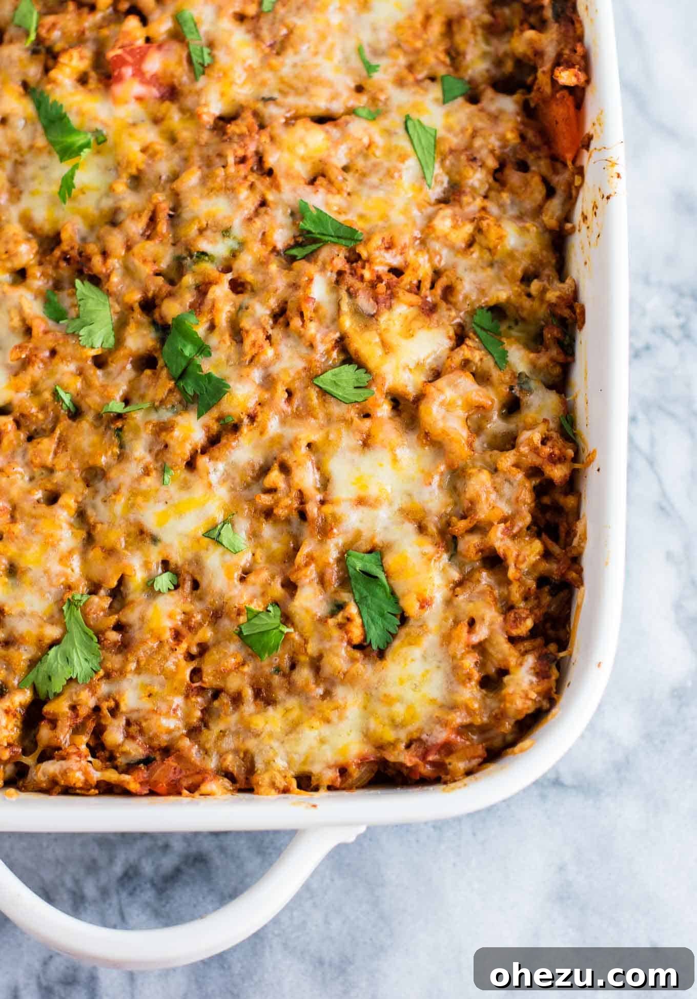 Hearty Tofu Mexican Rice Bake 7 A serving of Tofu Mexican Rice Casserole in a bowl, generously garnished with fresh cilantro and a dollop of sour cream, with crisp tortilla chips on the side. This healthy vegetarian dinner is ready to be enjoyed as a complete meal.