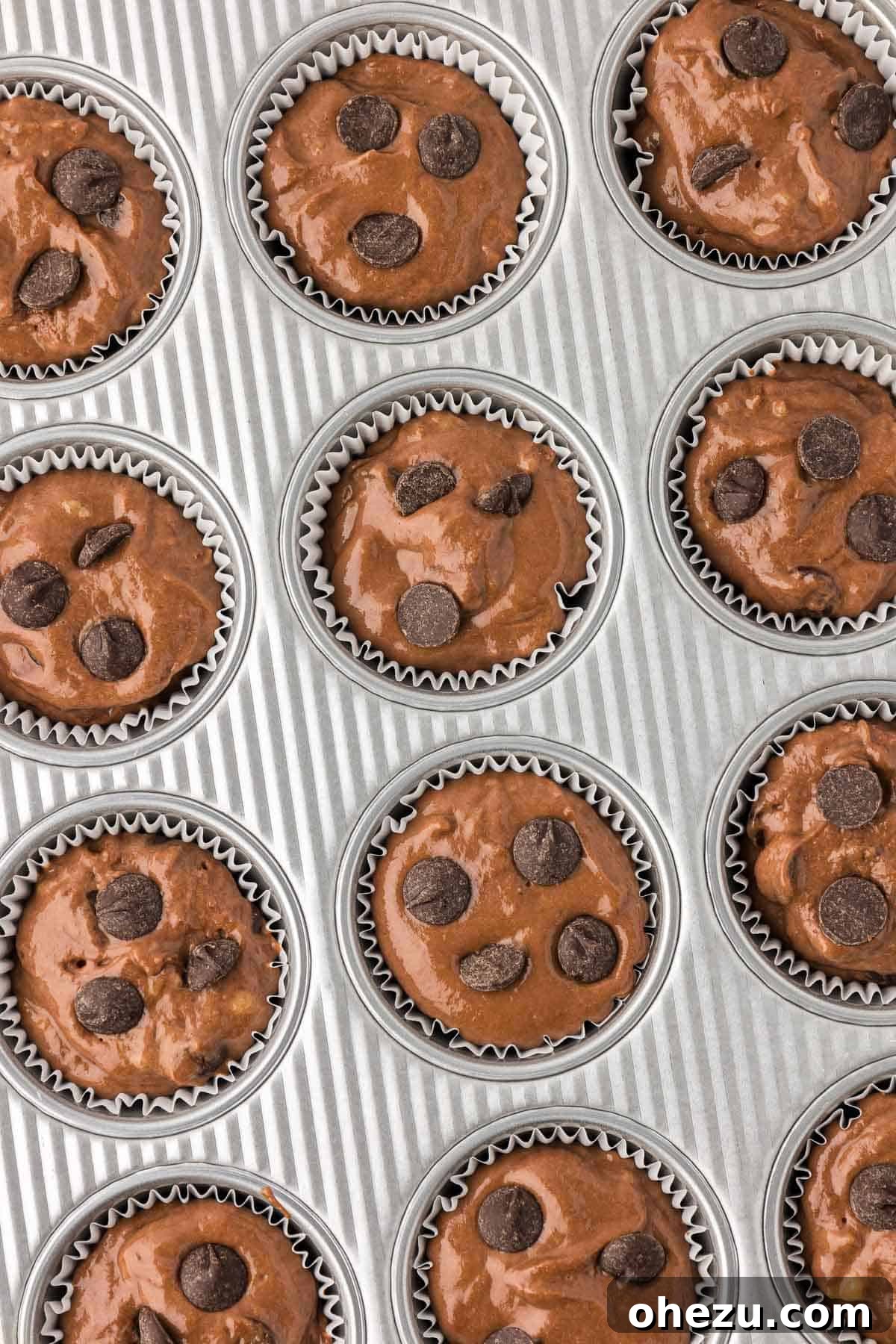 muffin batter in a muffin tin topped with chocolate chips