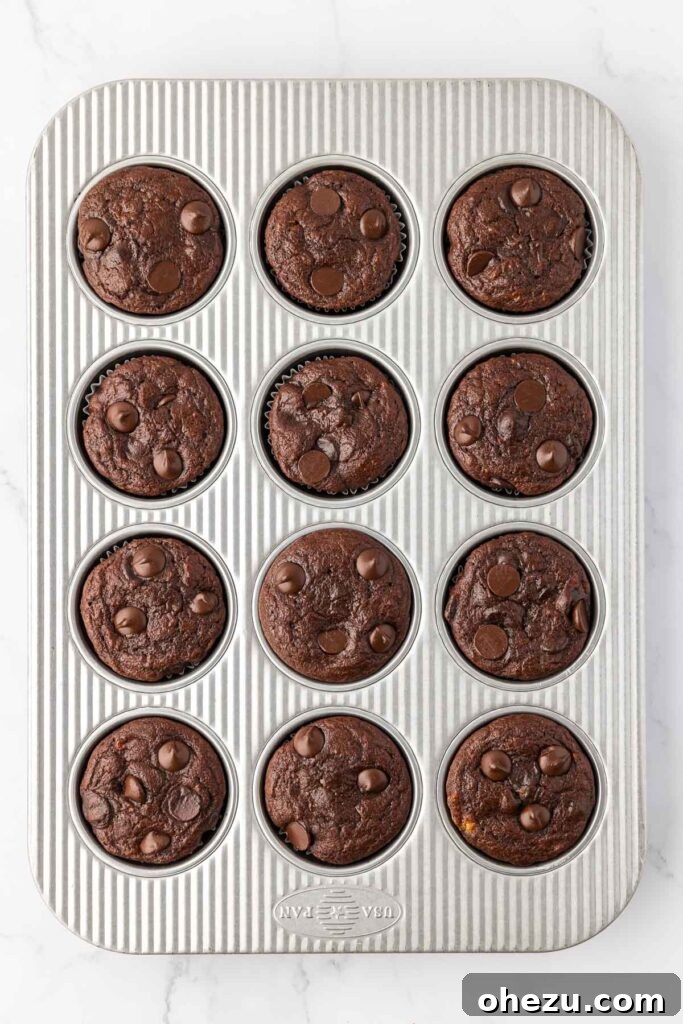 chocolate muffins in the a muffin tin