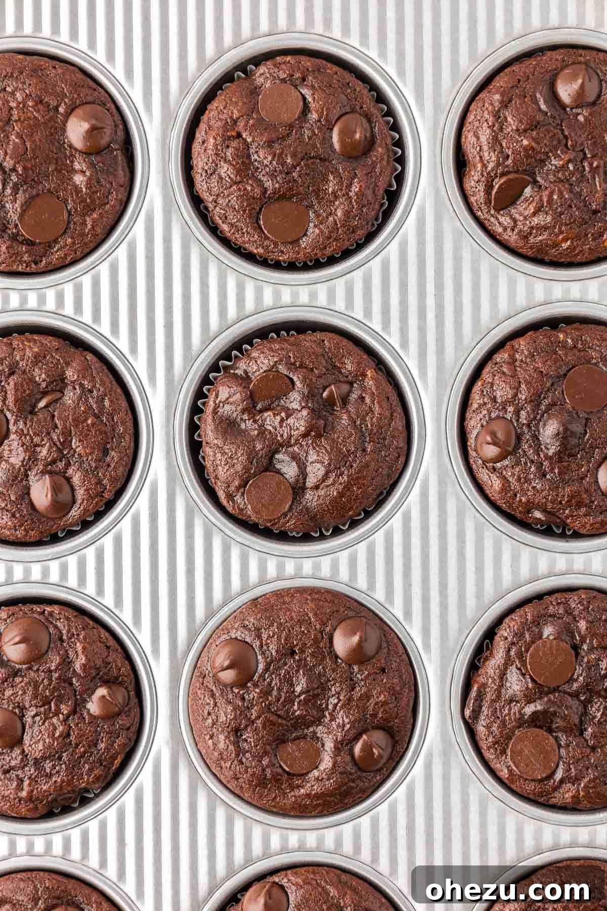 chocolate muffins in the a muffin tin