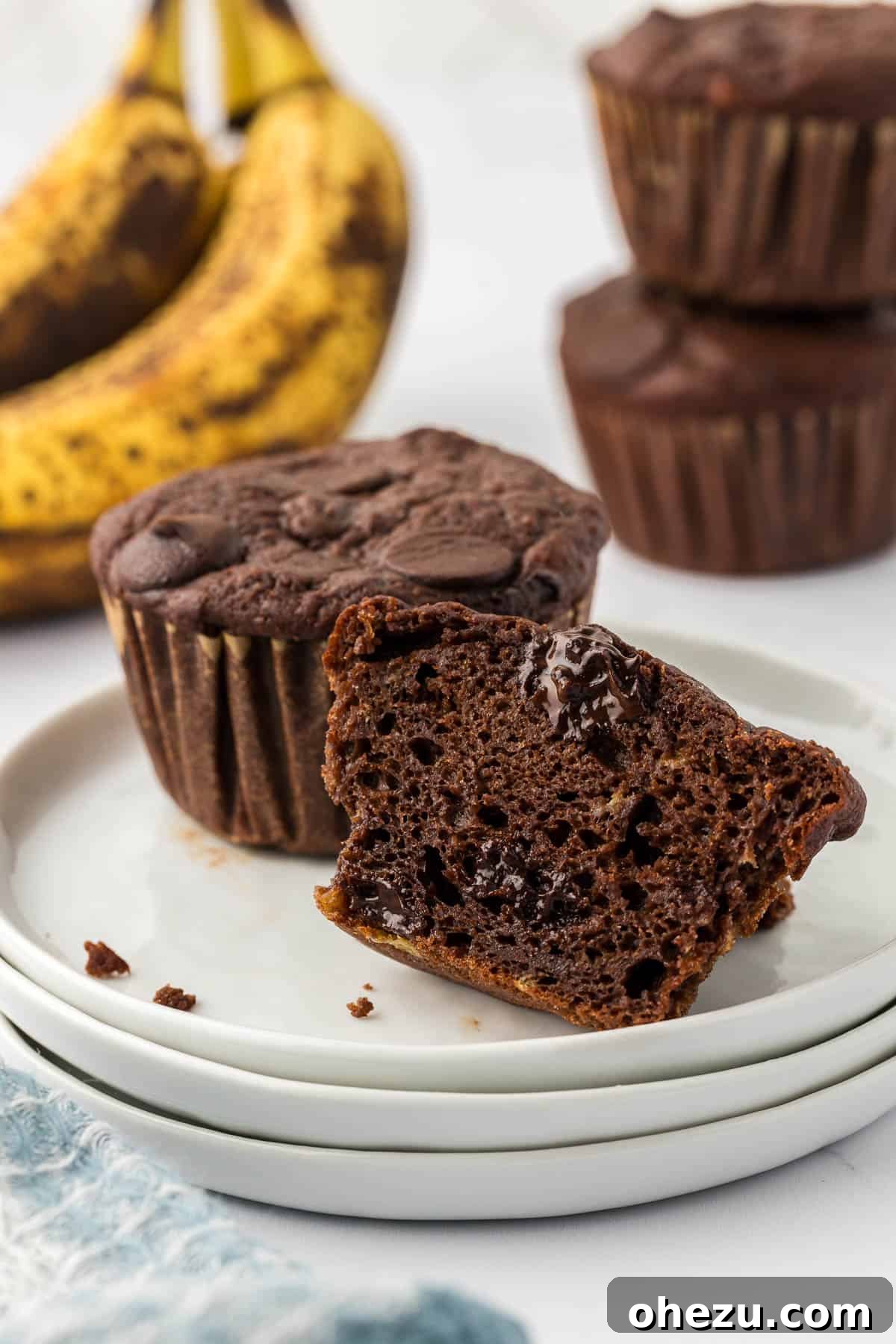 chocolate muffins on a plate