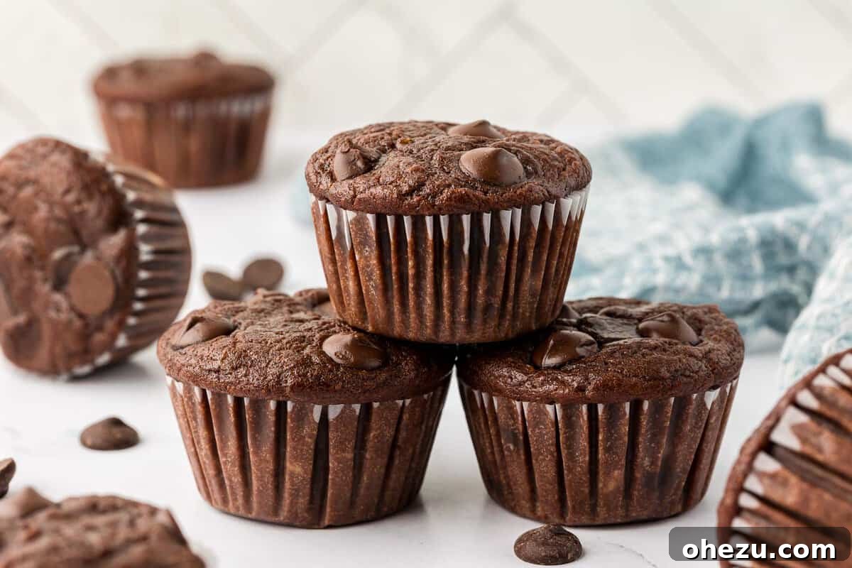healthy chocolate muffins