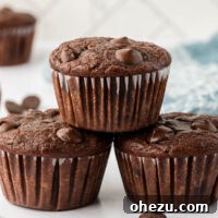 healthy chocolate muffins