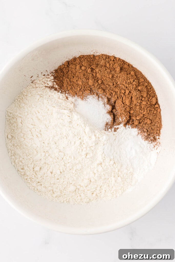 dry ingredients in a mixing bowl