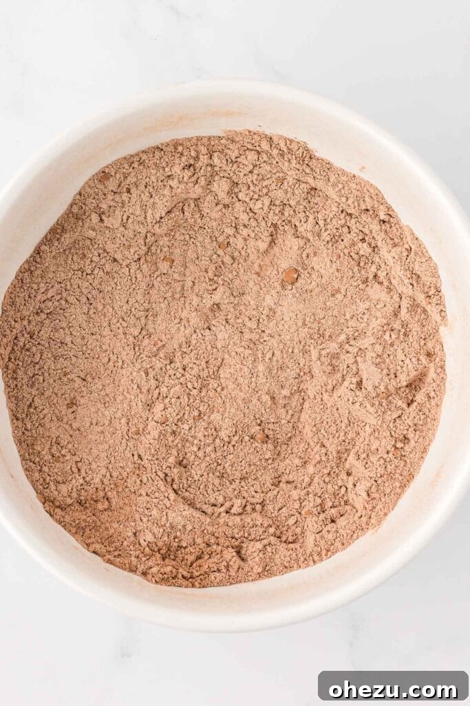 dry ingredients whisked together