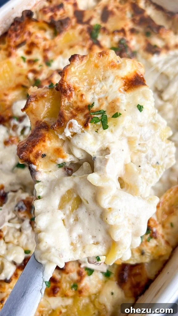 Delicious Baked Chicken Alfredo Casserole with a golden brown, bubbly top, garnished with fresh herbs