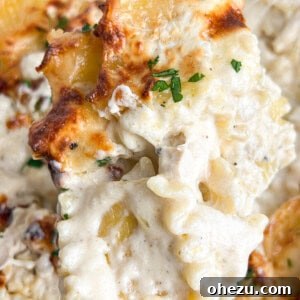 Baked chicken alfredo recipe card image, showing a finished serving in a bowl
