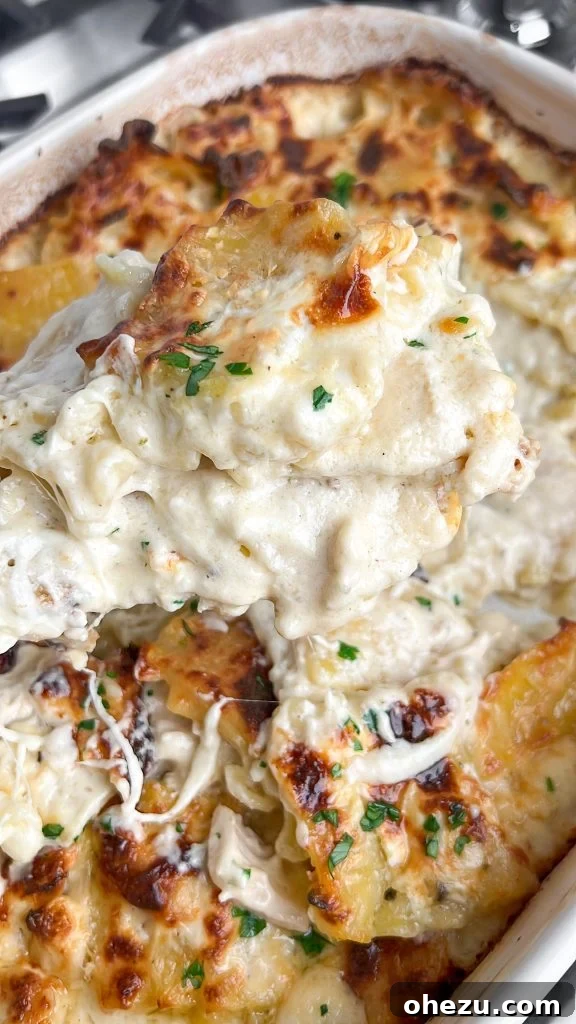 Close-up photo of a bubbly, golden-brown Baked Chicken Alfredo casserole fresh out of the oven