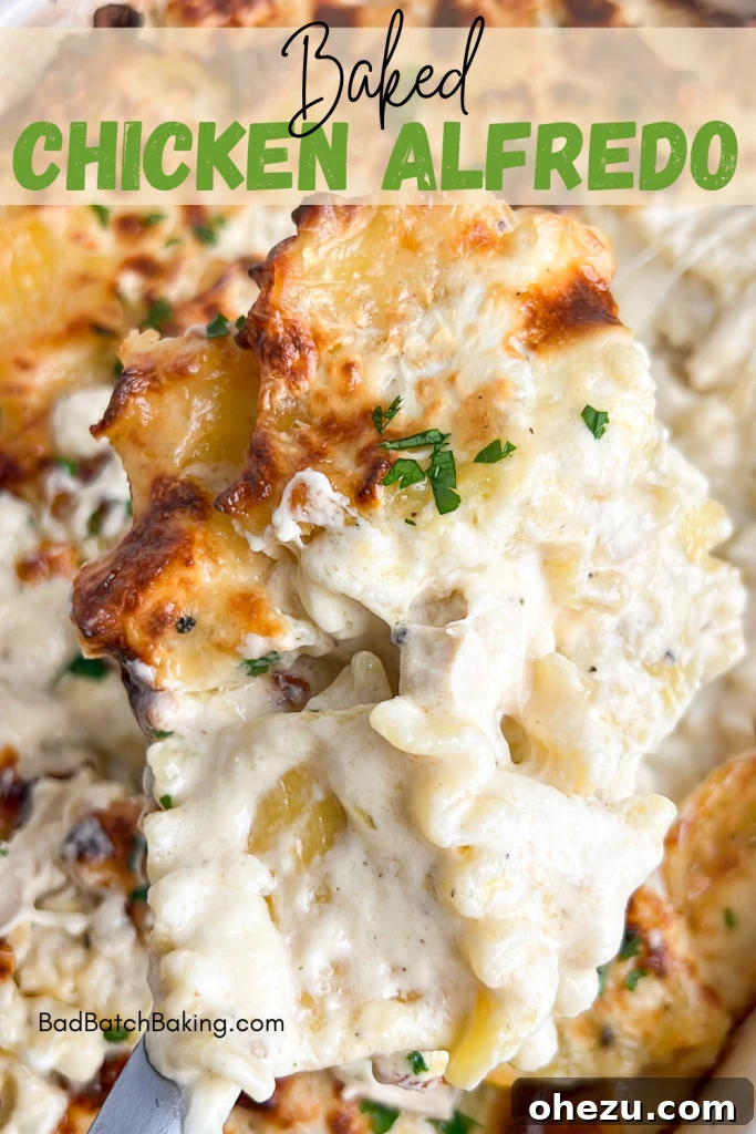 A generously sized serving of Baked Chicken Alfredo, glistening with melted cheese and fresh parsley