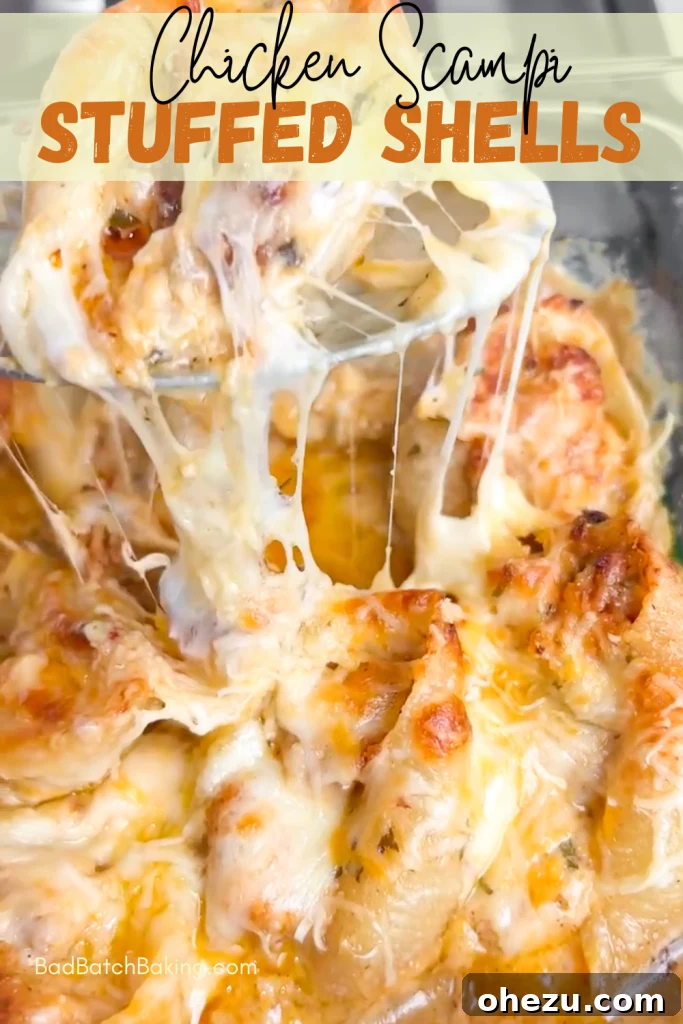 Various comfort food dishes, including chicken scampi stuffed shells