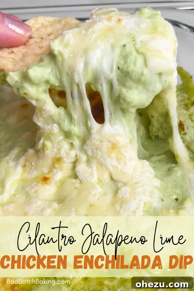 A beautifully presented large serving bowl of Verde Chicken Enchilada Dip, surrounded by a variety of dippers including tortilla chips and fresh vegetables