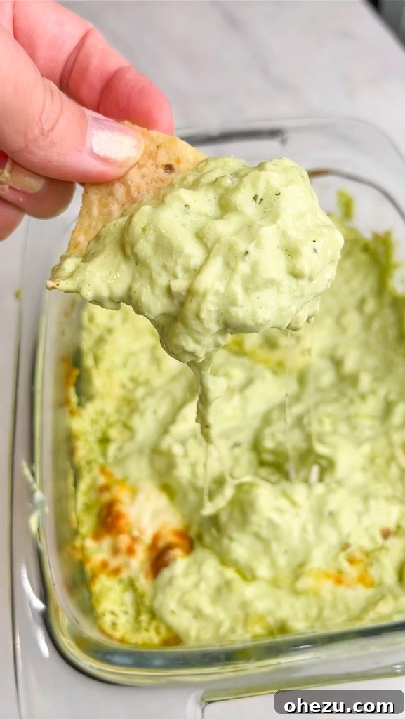 Close-up view of the warm, bubbly, and cheesy Chicken Enchilada Dip straight from the oven
