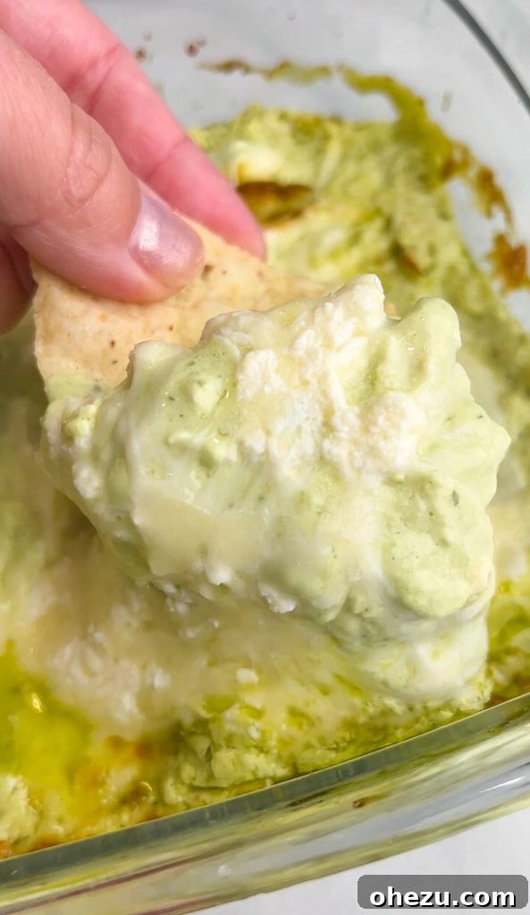A perfectly baked, bubbly, and cheesy Chicken Enchilada Dip, garnished with fresh cilantro and ready for serving