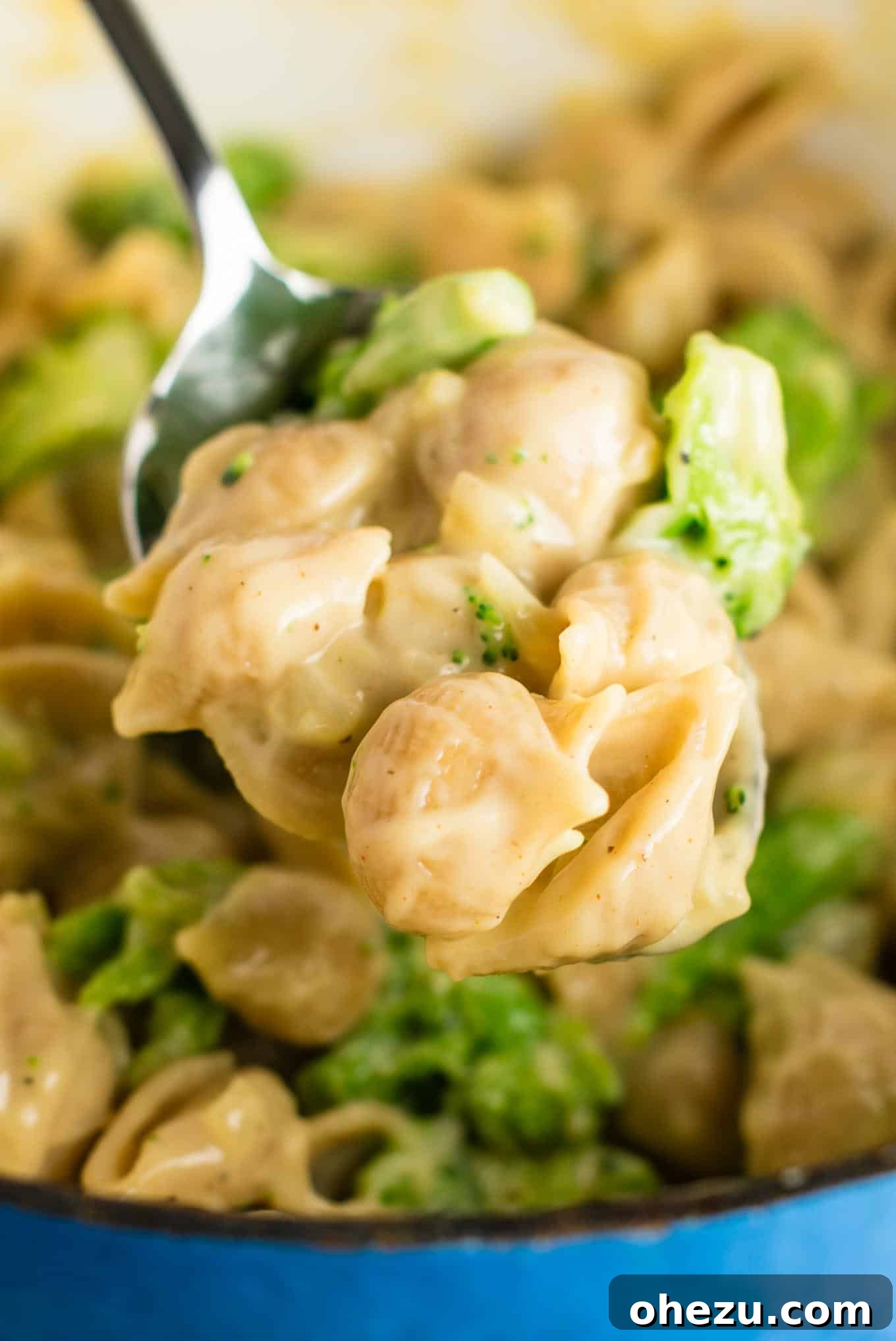 Lightened up broccoli mac and cheese with sharp cheddar cheese and whole wheat pasta. The healthiest way to justify eating macaroni and cheese for dinner. Kids will love this one! #broccolishellsandcheese #macandcheese #healthy #dinner #vegetarian #meatless #pasta #wholewheat