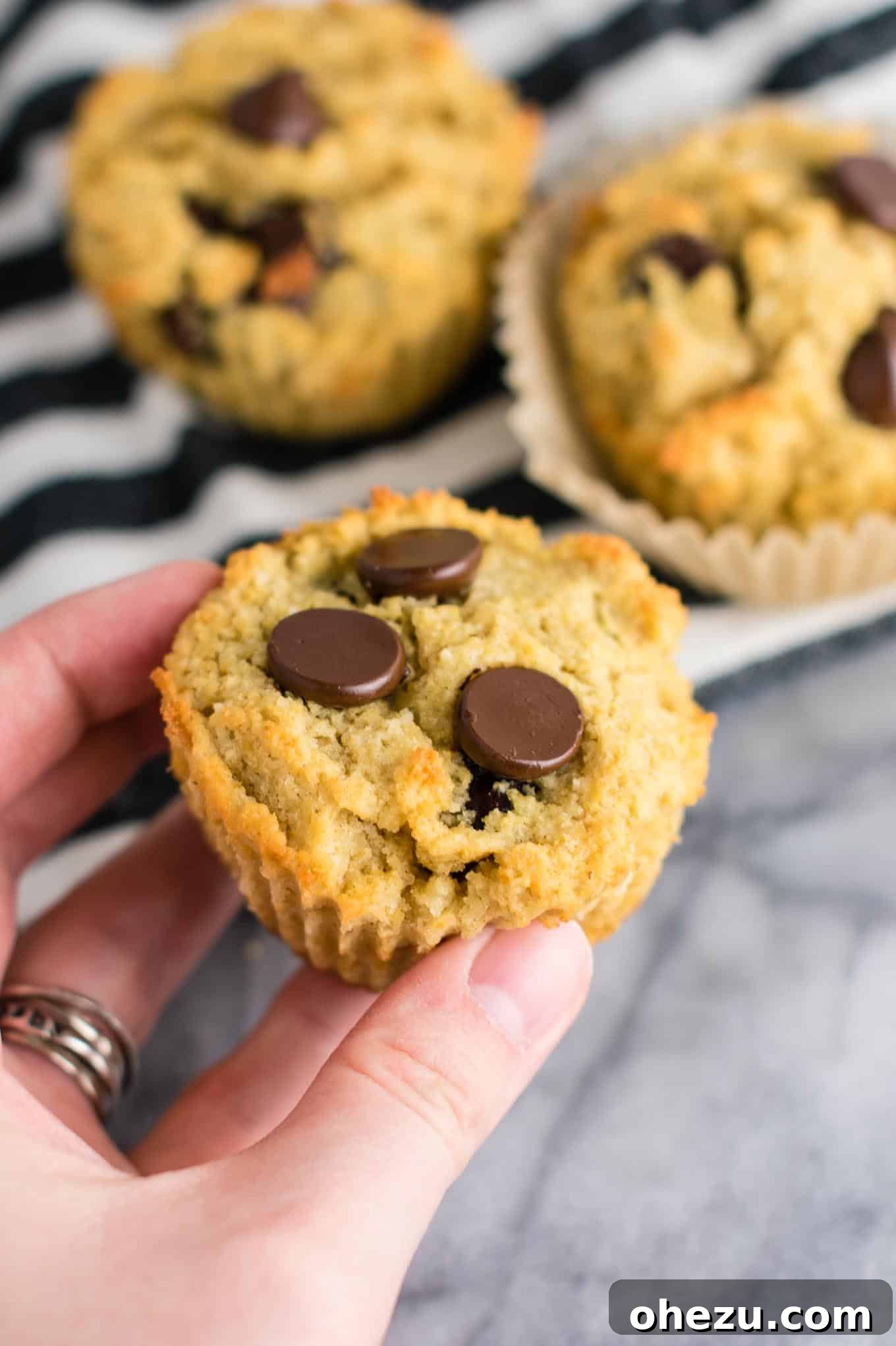 Irresistible Gluten-Free Chocolate Chip Muffins 5 Milk-free chocolate chip muffins made with a healthy flour blend.