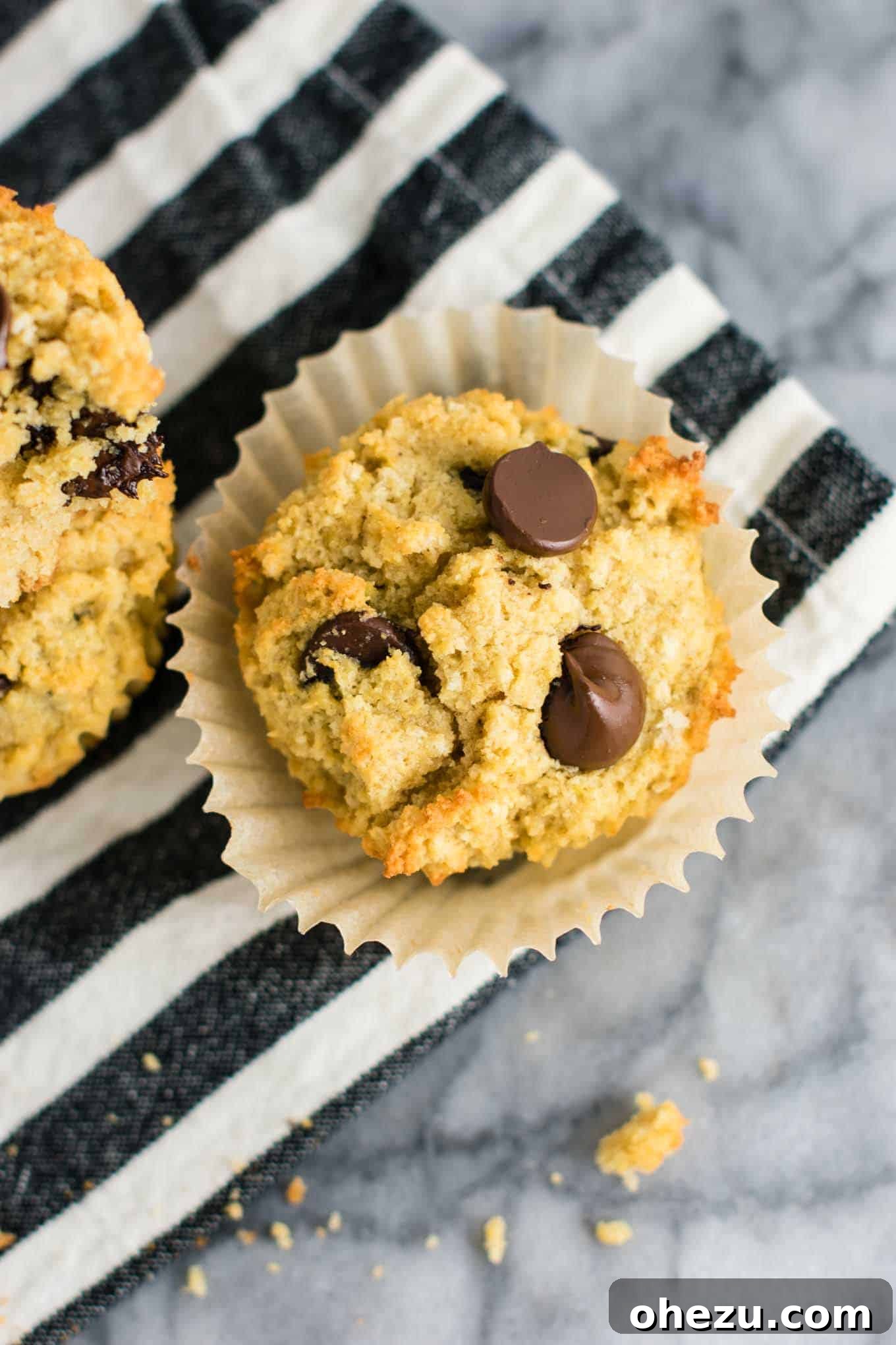 Irresistible Gluten-Free Chocolate Chip Muffins 7 Delicious gluten-free dairy-free chocolate chip muffins, perfect for picky eaters.