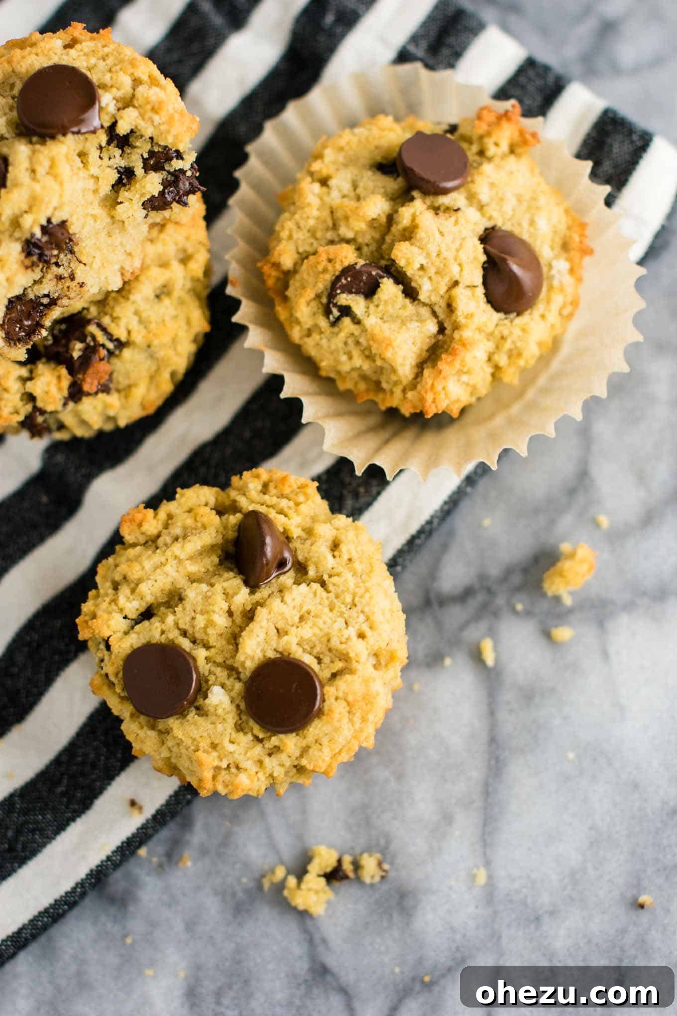Irresistible Gluten-Free Chocolate Chip Muffins 8 Healthy gluten-free dairy-free muffins with chocolate chips.