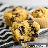 Gluten-free chocolate chip muffins (dairy-free) Made with coconut flour and oat flour and naturally sweetened!