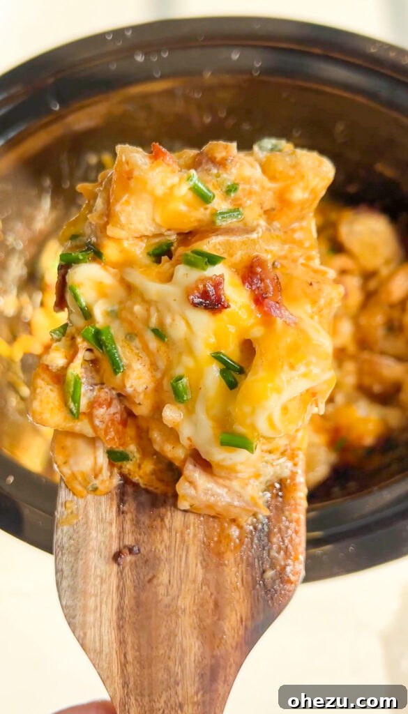 Loaded Slow Cooker Ranch Chicken and Potatoes 3 Two serving bowls of Cheesy Bacon Ranch Slow Cooker Chicken and Potatoes, showcasing the melted cheese and a sprinkle of chives