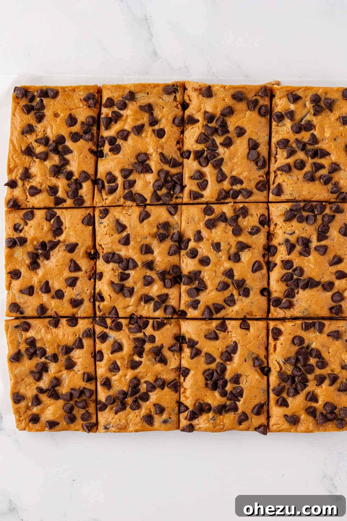 Perfectly cut peanut butter chocolate chip protein bars