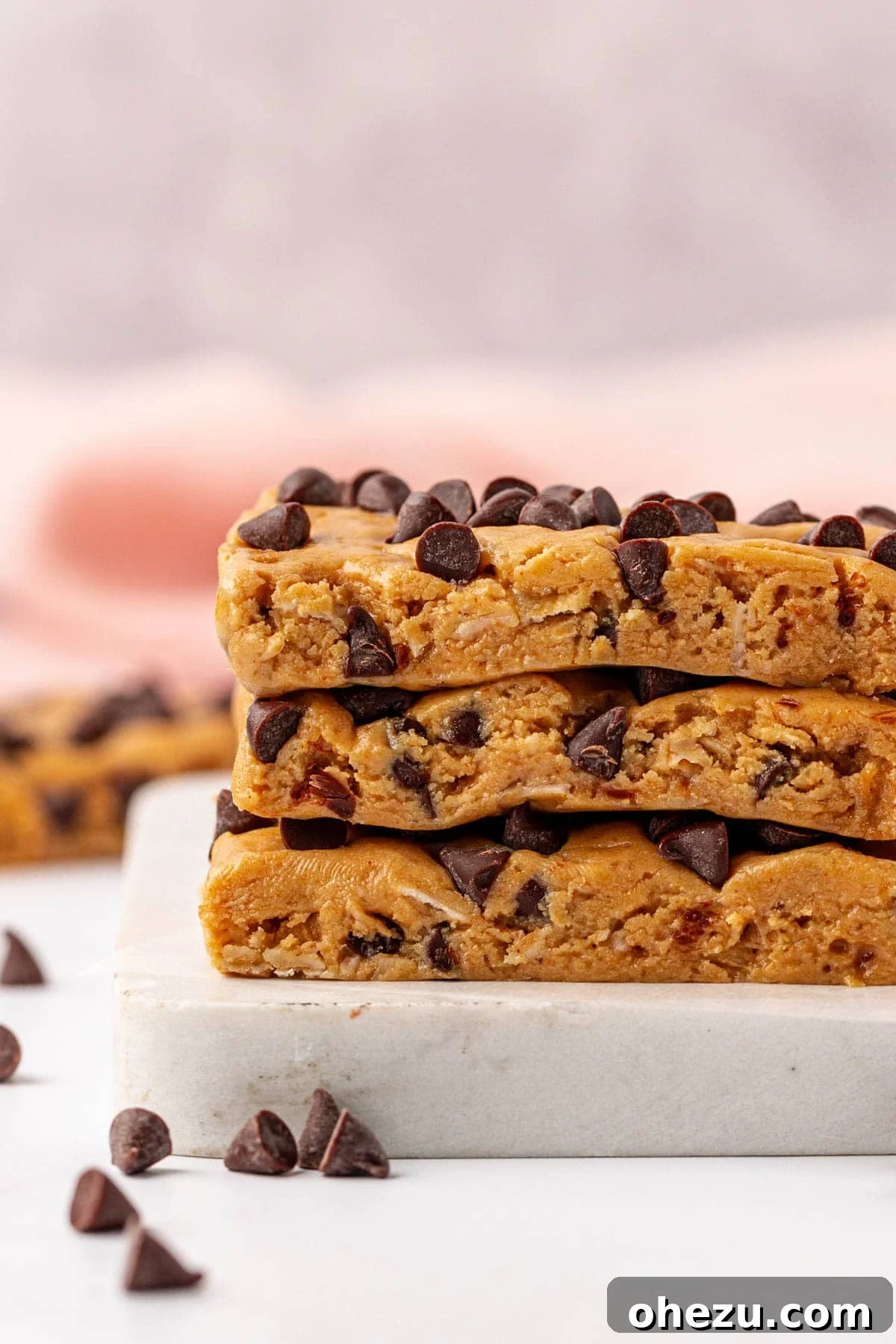 Single peanut butter chocolate chip protein bar on a plate