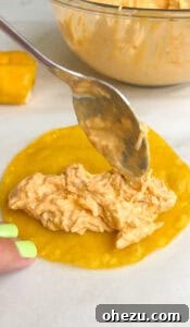 Step-by-step rolling and frying Buffalo Chicken Taquitos