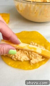 Crispy golden Buffalo Chicken Taquitos