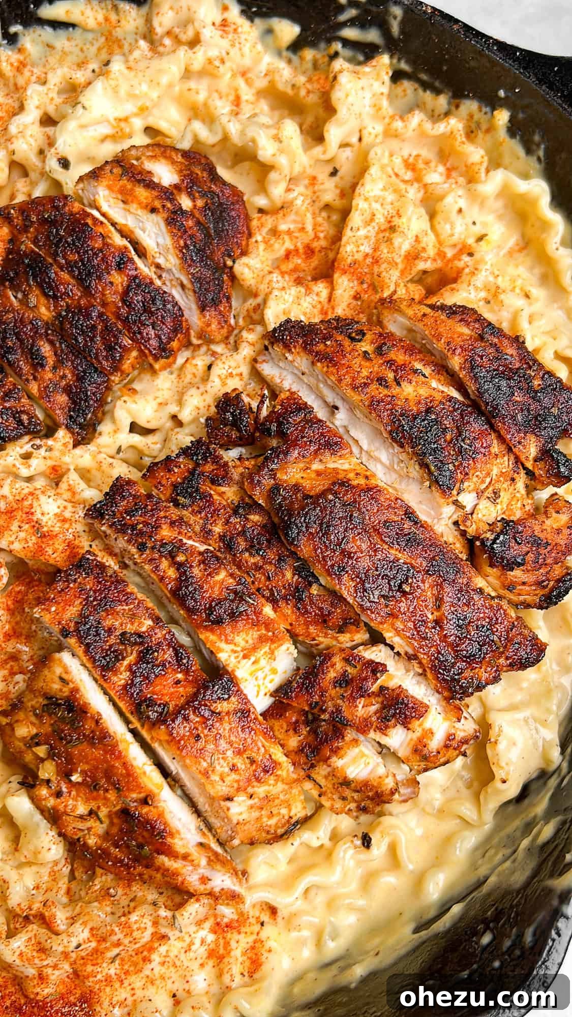 blackened cajun chicken alfredo
