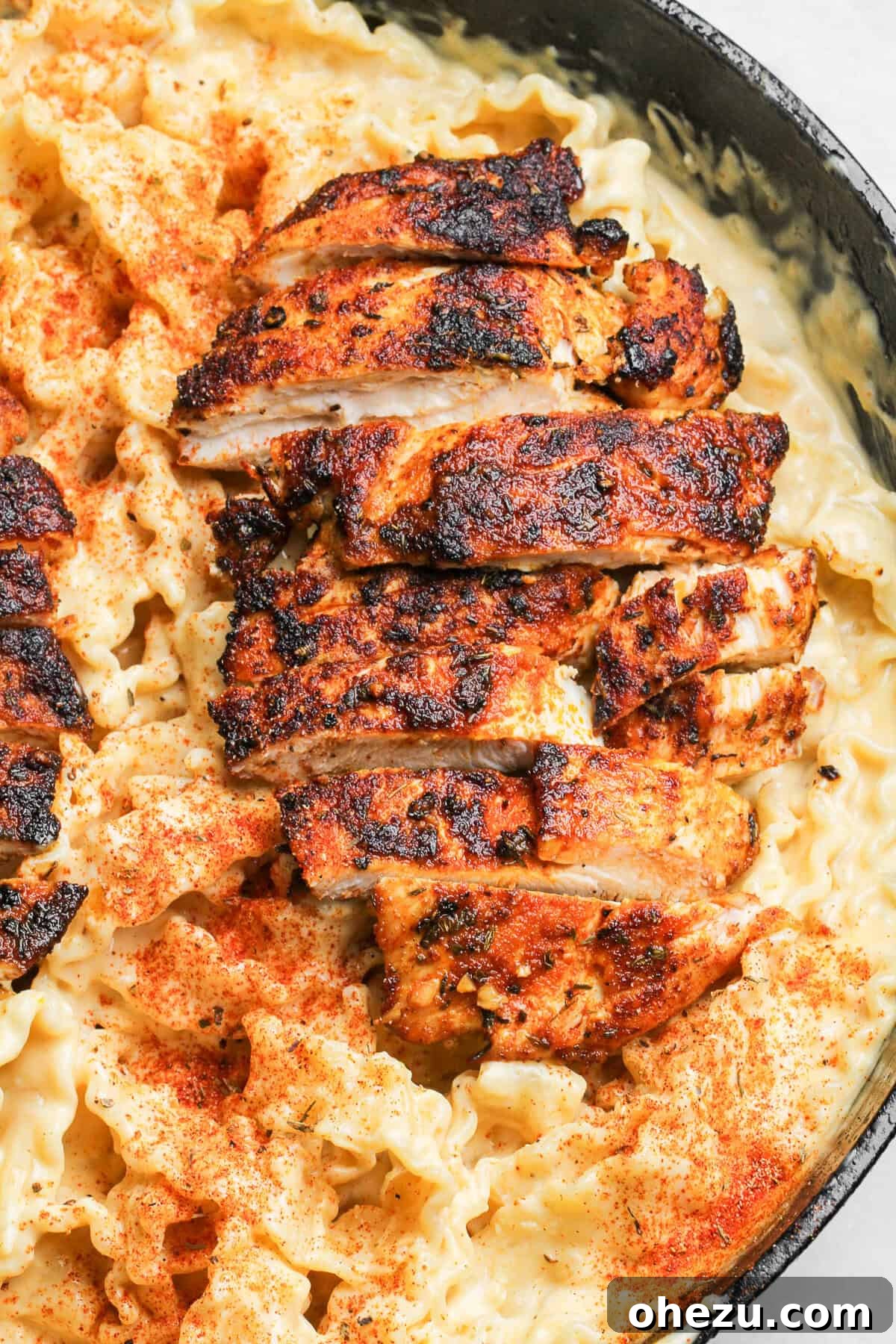 blackened cajun chicken alfredo