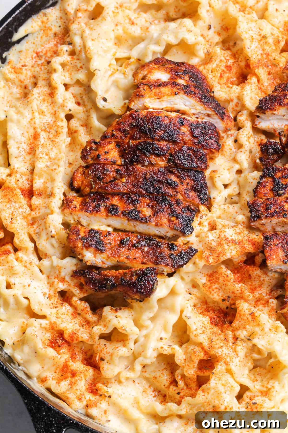 blackened cajun chicken alfredo