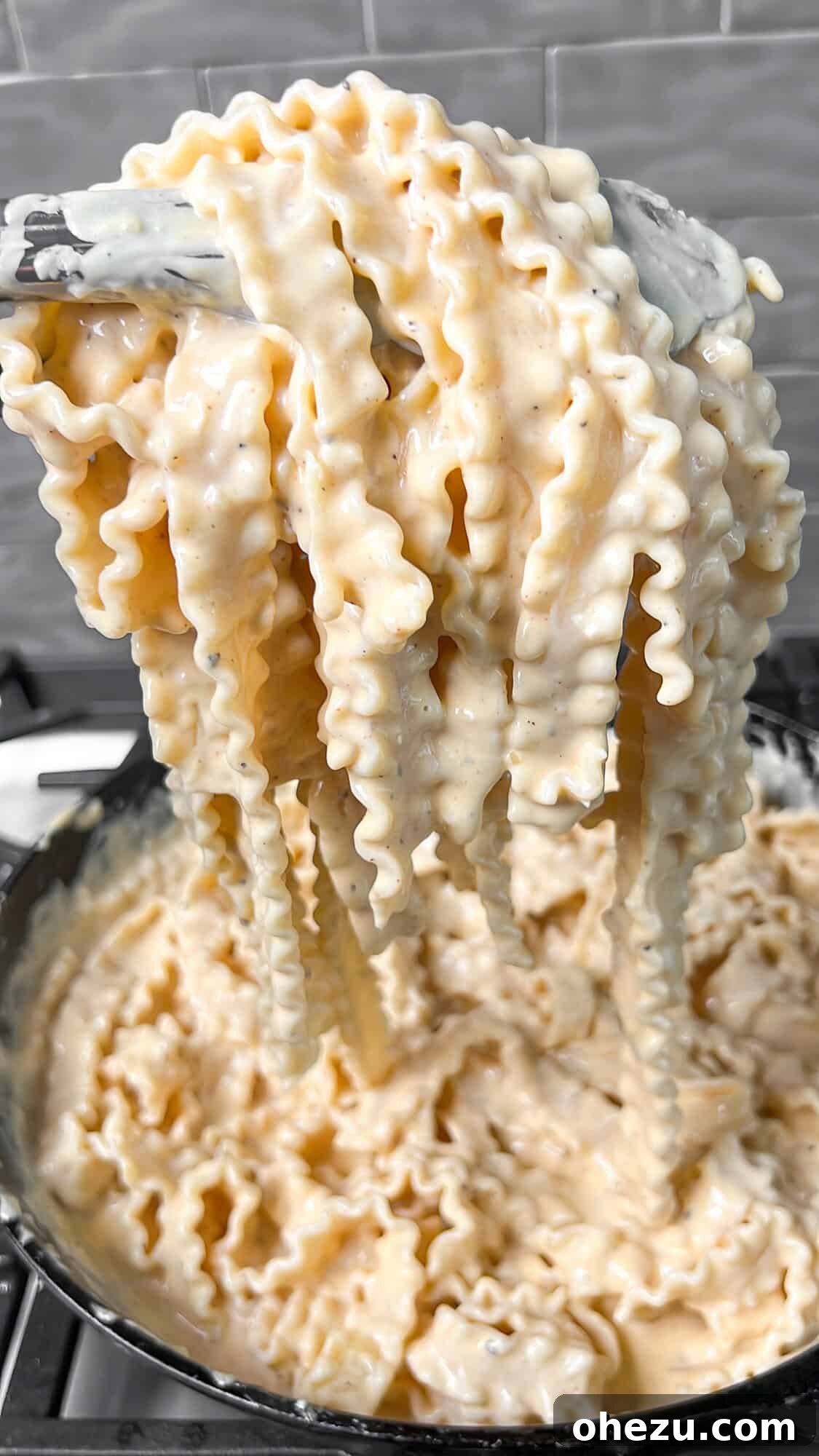 blackened cajun chicken alfredo